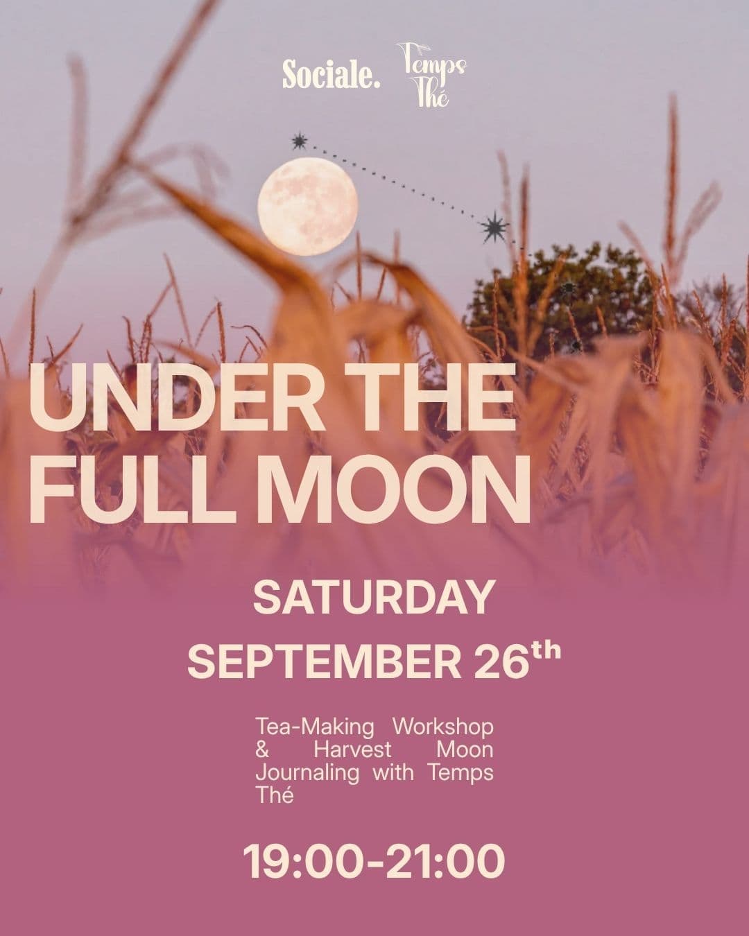 UNDER THE FULL MOON : Tea-Making & Journaling Workshop with Temps Thé