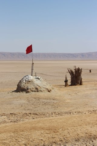The chott as a bird area
