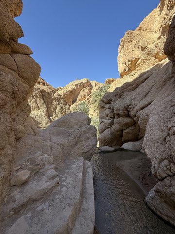 Chebika oasis